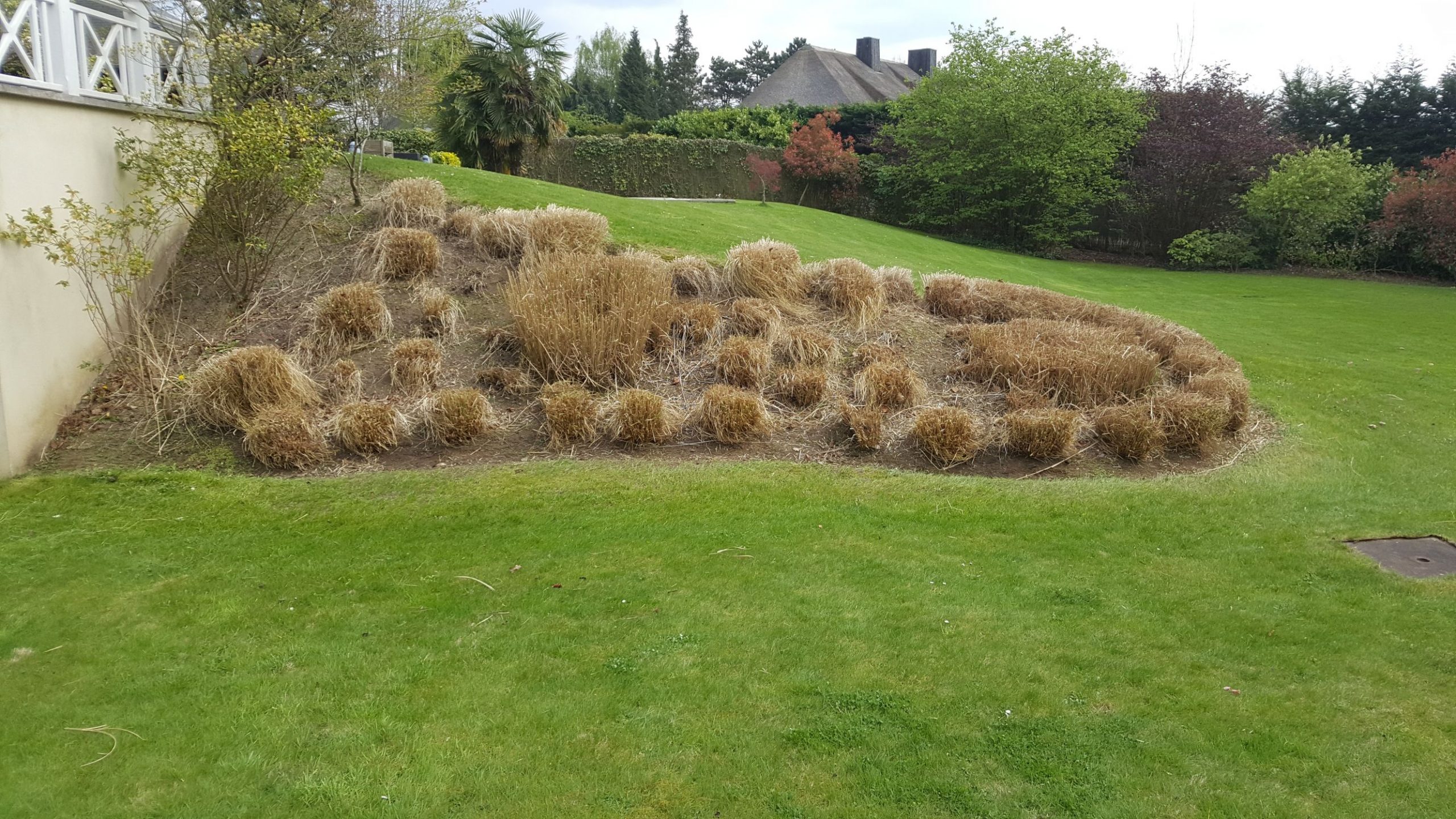 edens-garden-entretien-belgique (3)