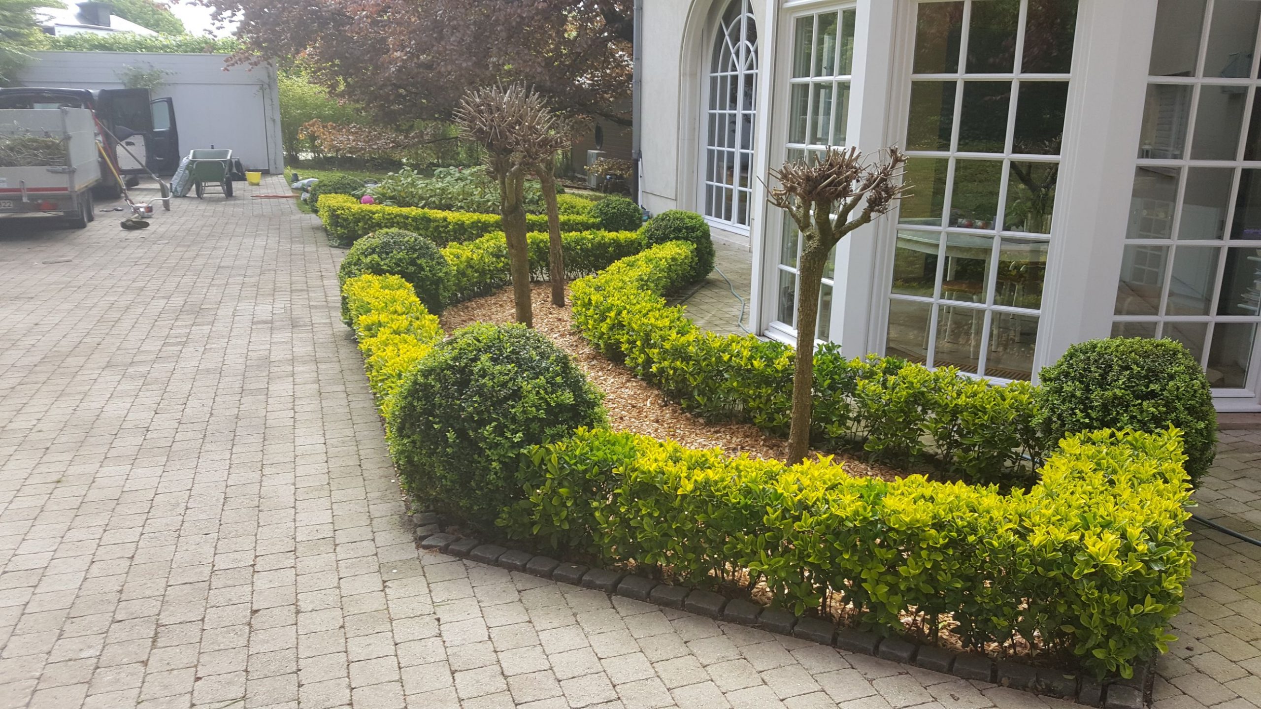edens-garden-entretien-belgique (4)
