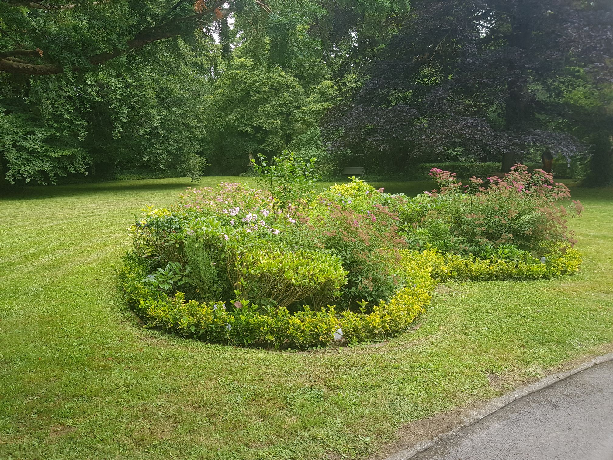 edens-garden-entretien-belgique (7)