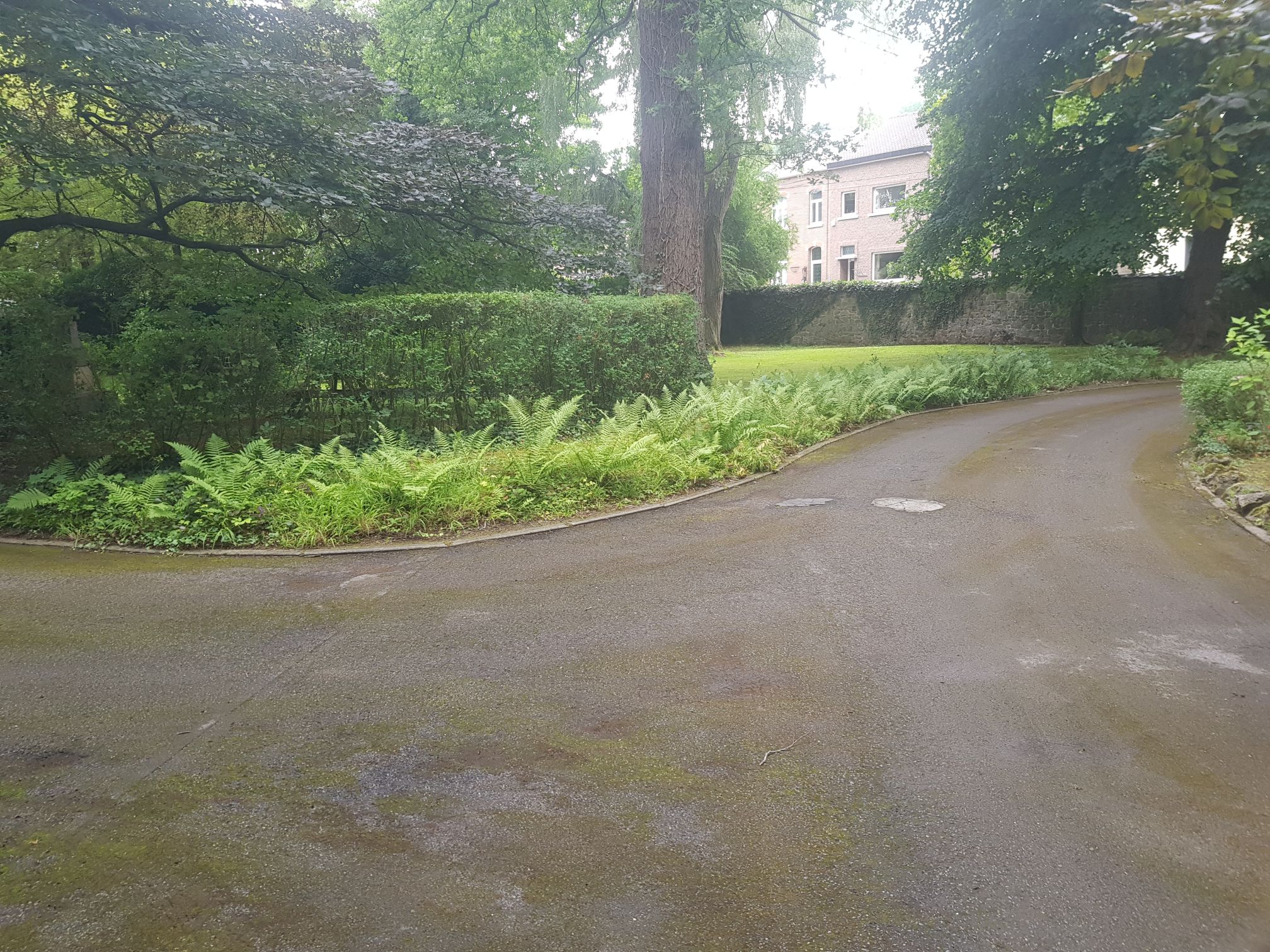 edens-garden-entretien-belgique (8)